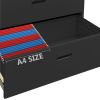 Filing Cabinet Anthracite 35.4"x18.1"x64.6" Steel