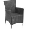 11 Piece Outdoor Dining Set with Cushions Poly Rattan Black