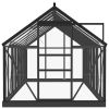 Glass Greenhouse Anthracite 61"x155.7"x75.2" Aluminum